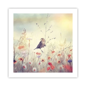 Poster - Bird Portrait with a Meadow in the Background - 50x50 cm
