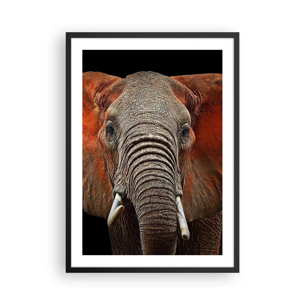 Poster in black frame - Portrait of a majestic elephant against a black background - 50x70cm - I am Wild, and You? - Modern wall decoration for the living room and bedroom ARTTOR