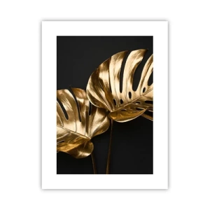 Poster - Tresaures of Nature - 30x40 cm