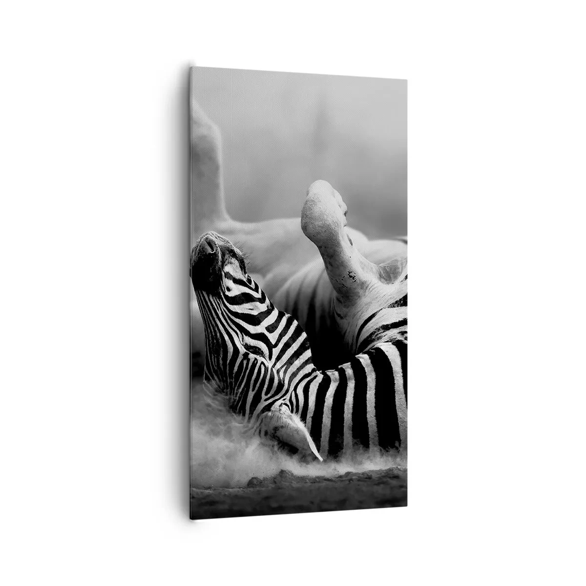 Canvas picture - Rolling out Laughing - 65x120 cm