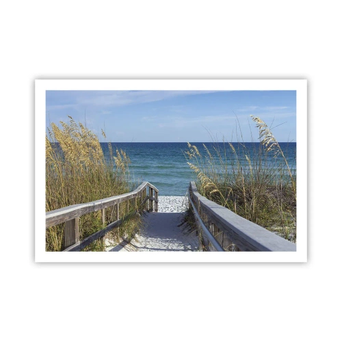 Poster - In the Sun, out in the Wind - 91x61 cm