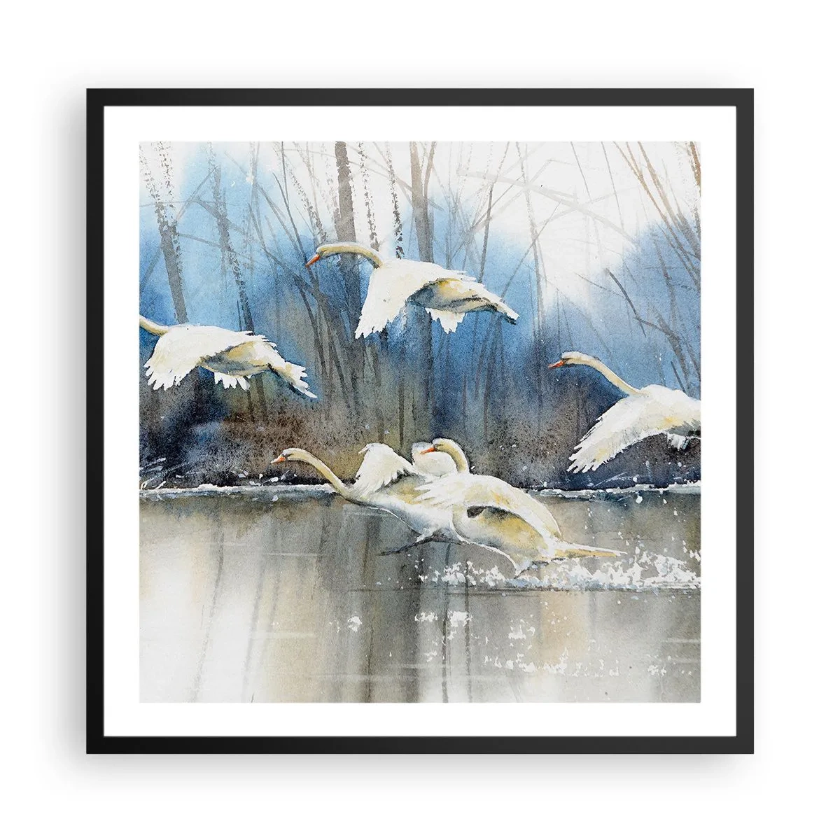 Poster in black frame - Like in a Fairy Tale about Wild Swans - 60x60 cm
