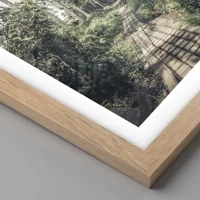 Light Oak