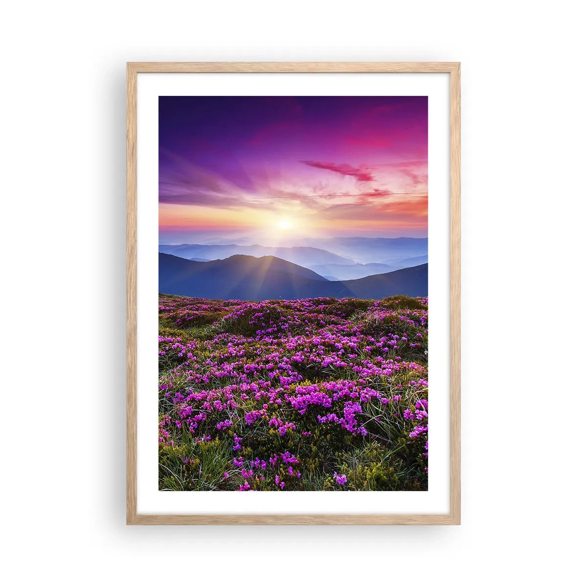 Poster in light oak frame - Smells Strongly of Herbs - 50x70 cm