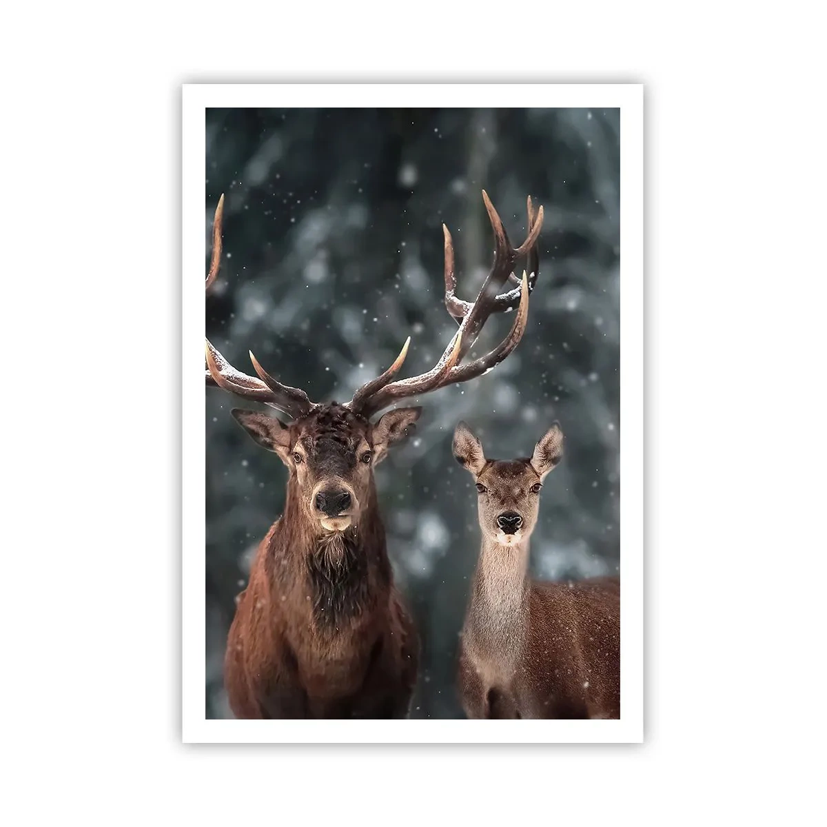 Poster - Master of the Forest with His Wife - 70x100 cm