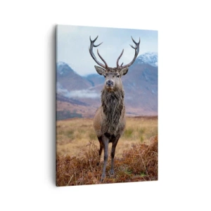 Canvas picture - On Your Own Land - 50x70 cm