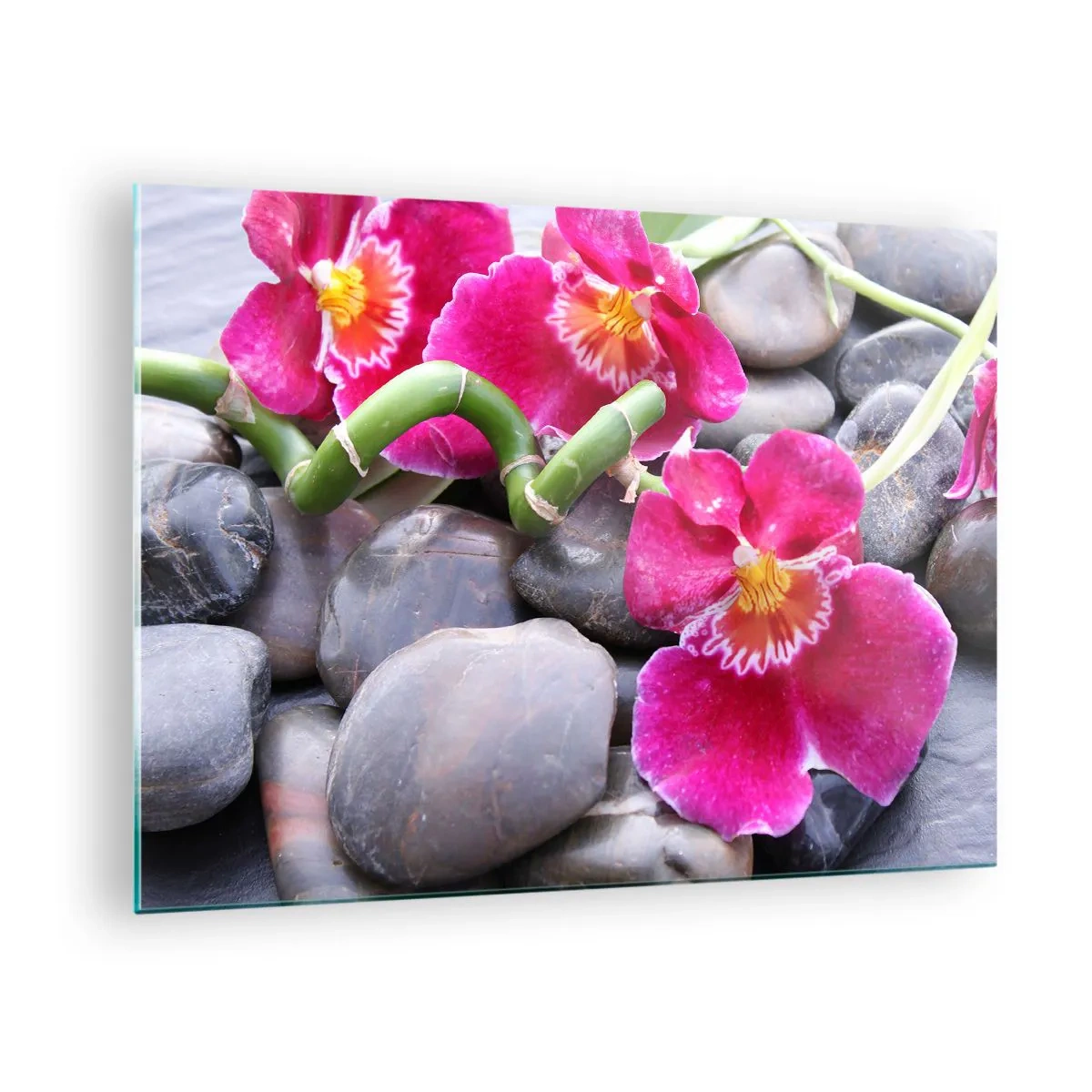 Glass picture - Pink orchids with bamboo on stones - 70x50cm - Coolness and Heat - Modern wall decoration for the living room and bedroom ARTTOR