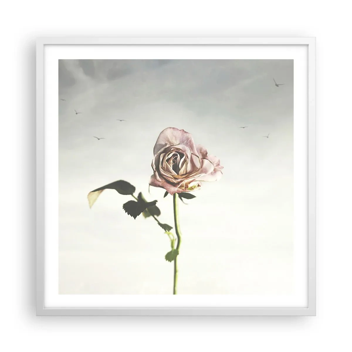 Poster in white frmae - Welcoming of Spring - 60x60 cm