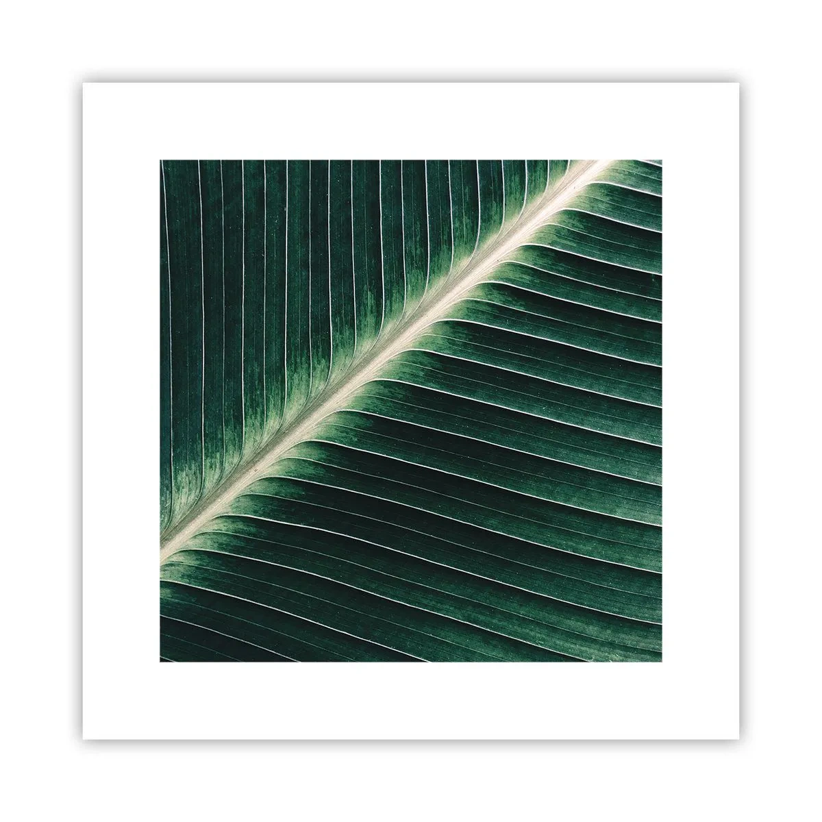 Poster - Rhythm of Nature - 30x30 cm