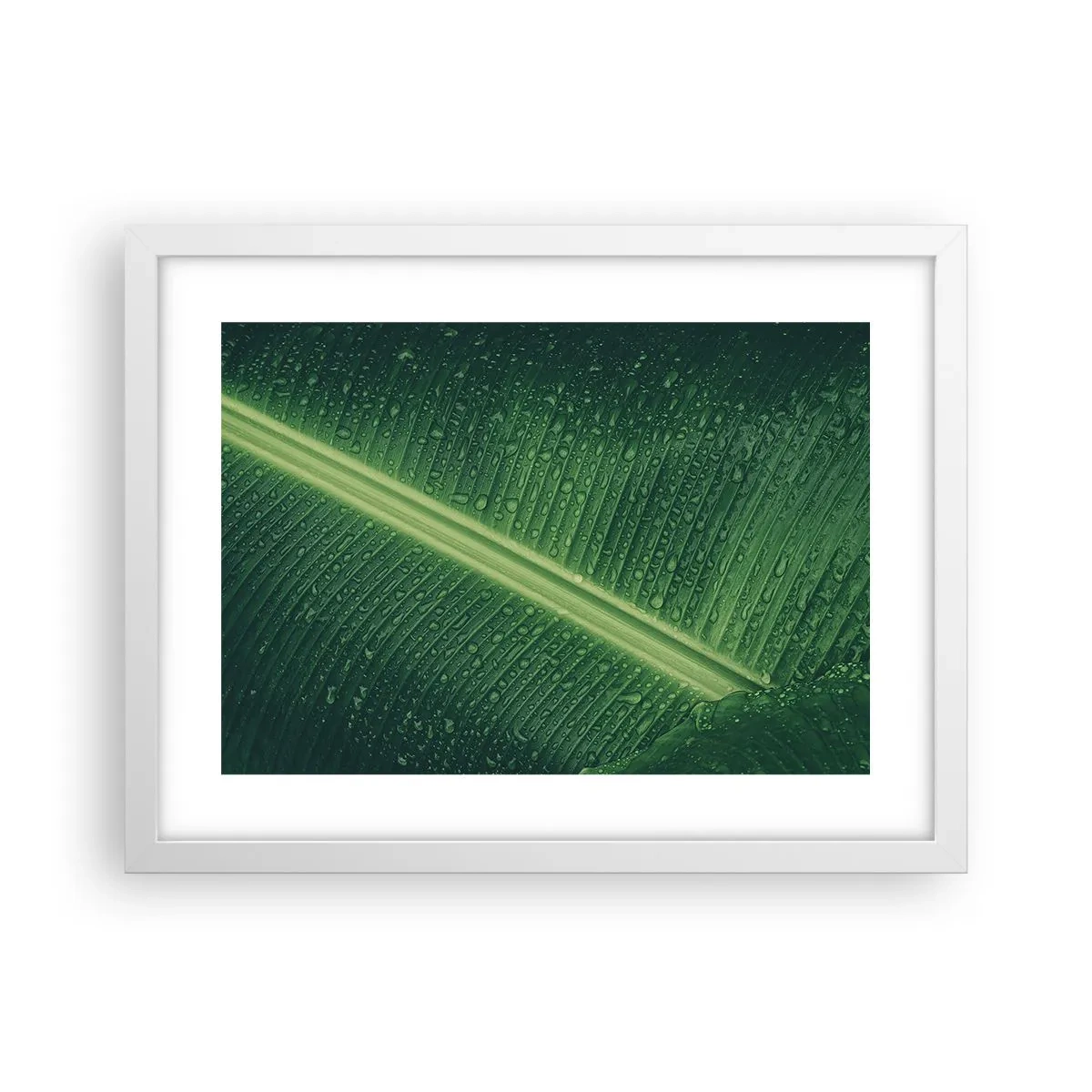Poster in white frmae - Structure of Green - 40x30 cm