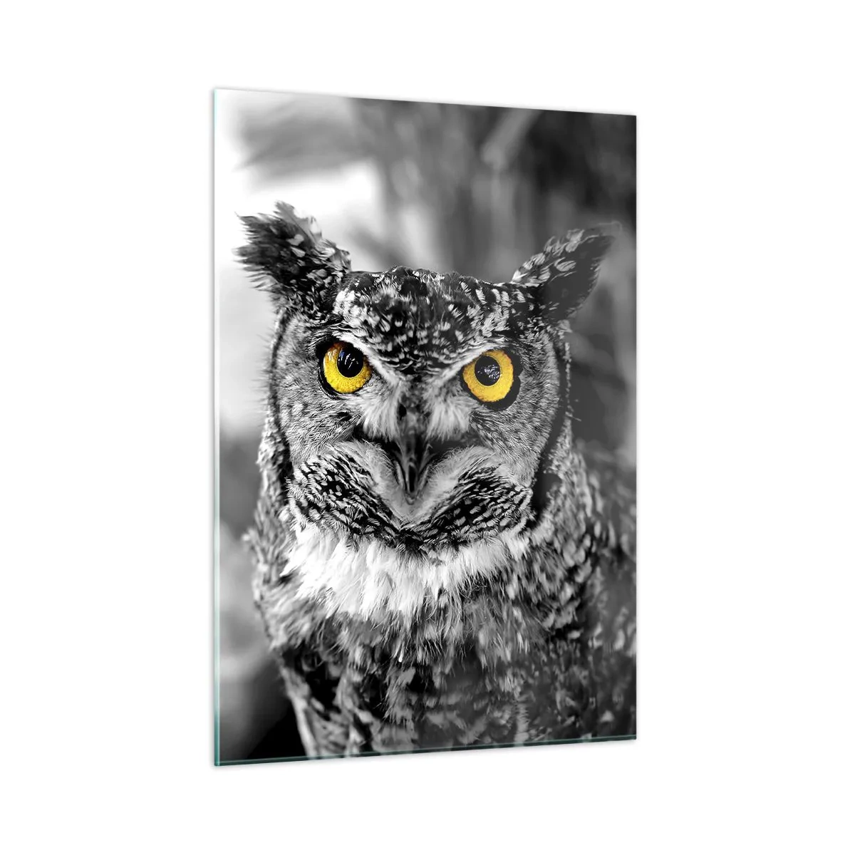 Glass picture - Nothing Can Hide - 50x70 cm