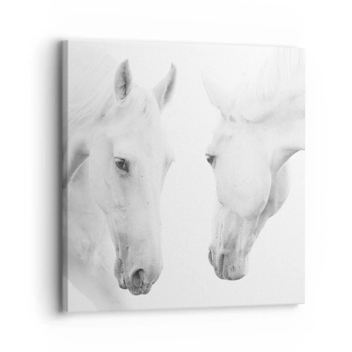 Canvas picture - Is this friendship…? - 30x30 cm
