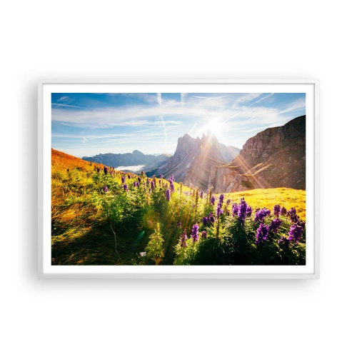 Poster in white frmae - Secret Life of Herbs - 100x70 cm