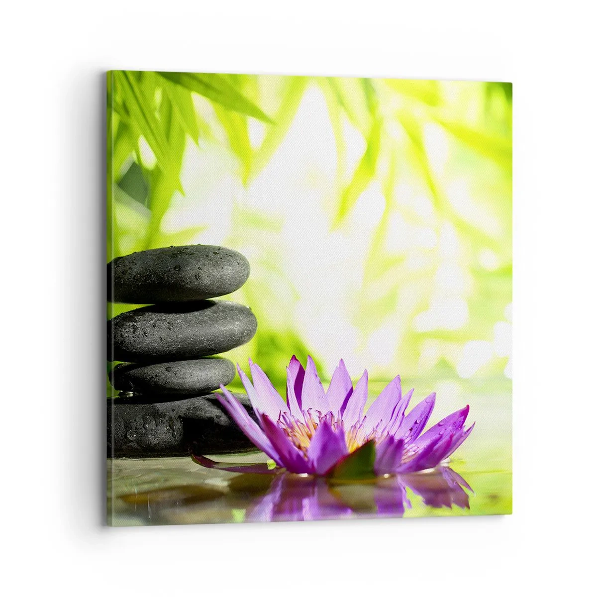 Canvas picture - In a Bamboo Grove - 70x70 cm