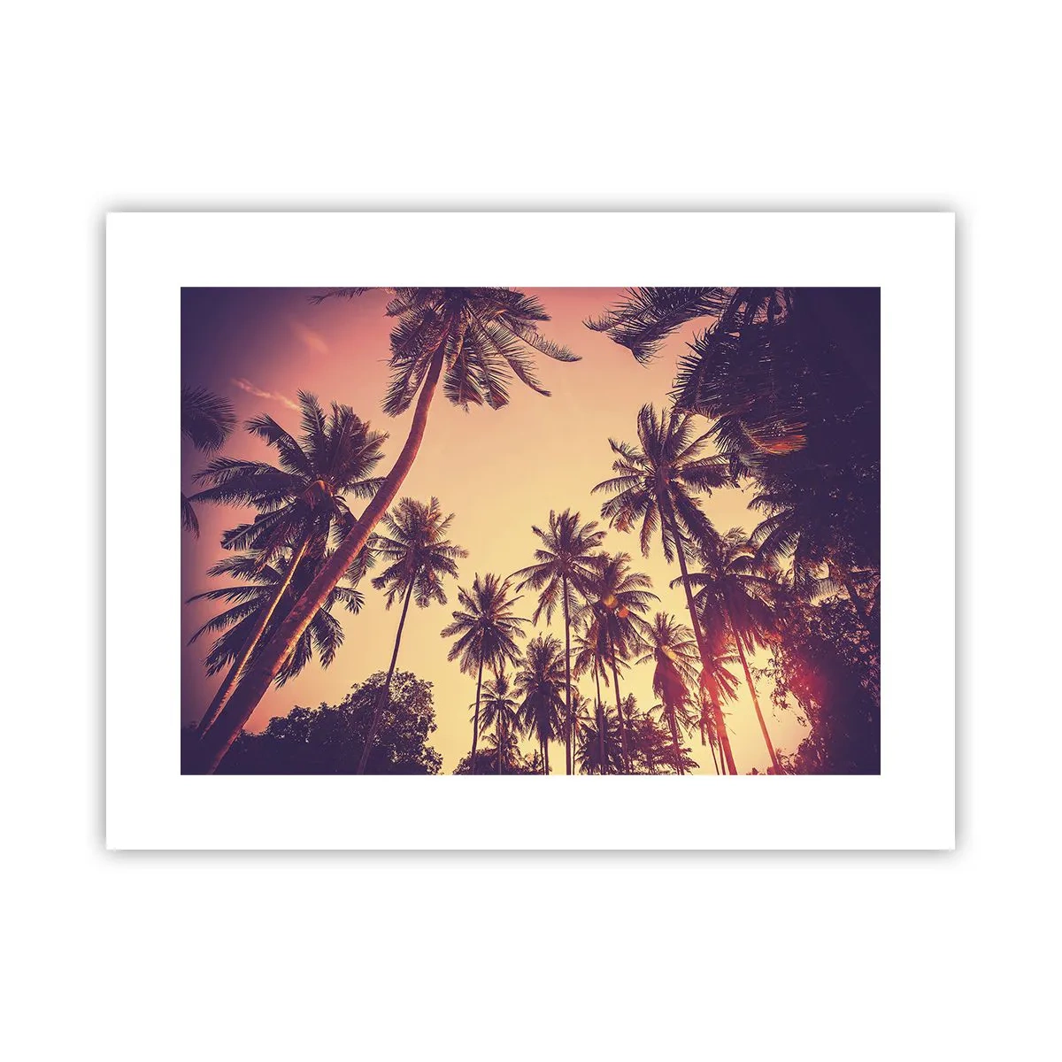 Poster - Tropical Variation - 40x30 cm