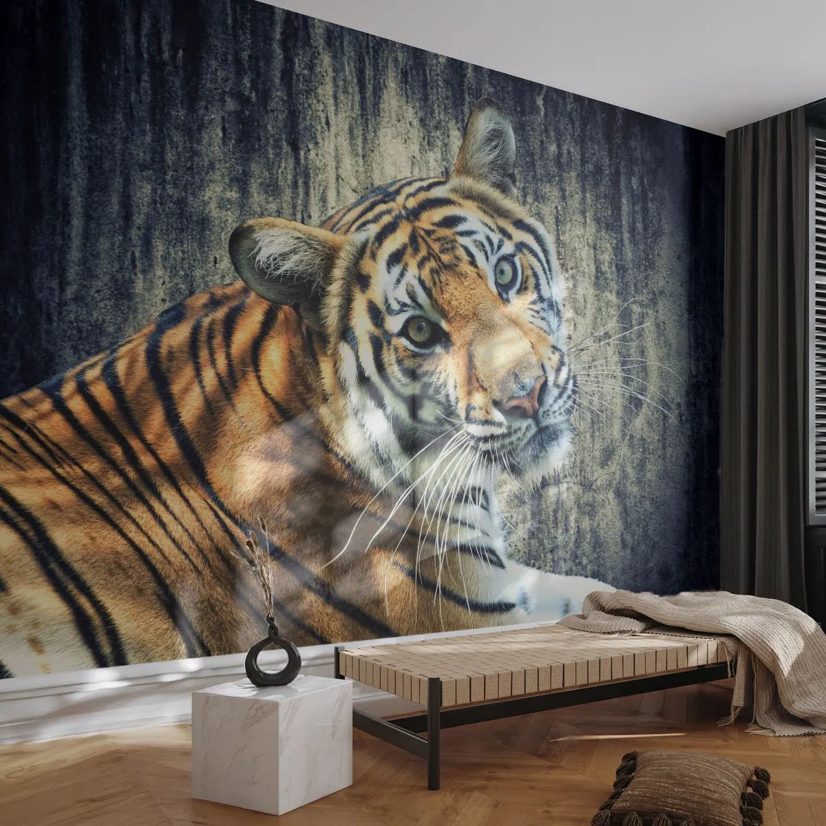 Self-Adhesive Photo Wallpaper Deluxe Sticker - Portrait in Rays of Light - Animals, Tiger, Africa - 250x175 cm