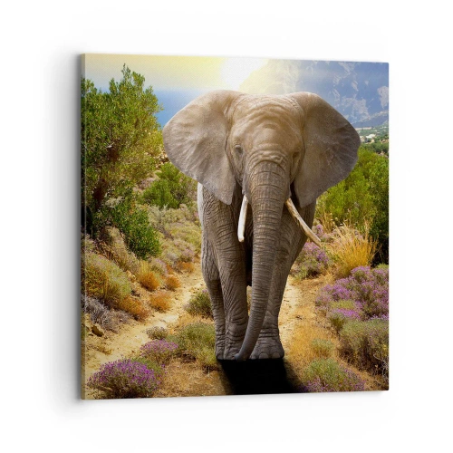 Canvas picture - This is What Eden Looked Like - 70x70 cm