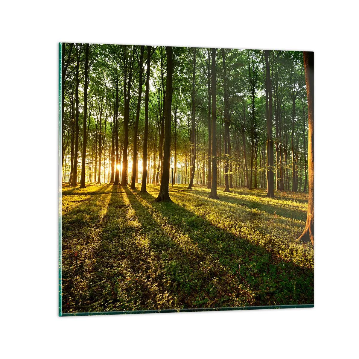 Glass picture - Photography of All Springs - 70x70 cm