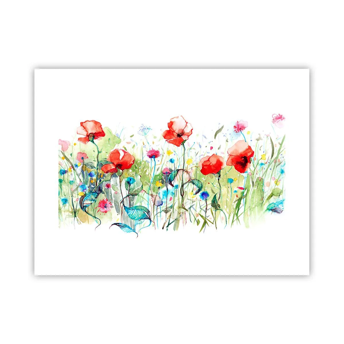 Poster - Meadow in May - 40x30 cm
