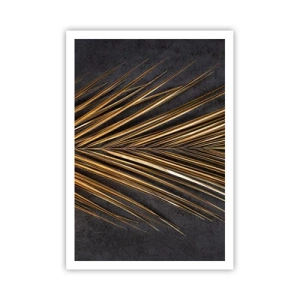 Poster - Gold of the Tropics - 70x100 cm