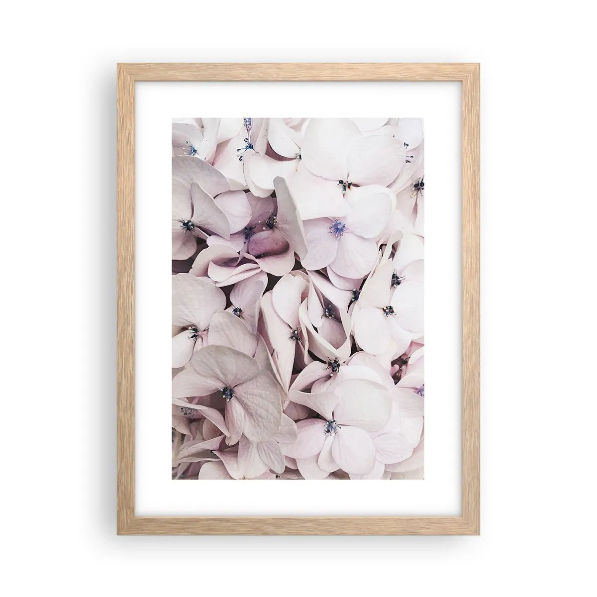 Poster in light oak frame - In the Flood of Flowers - 30x40 cm