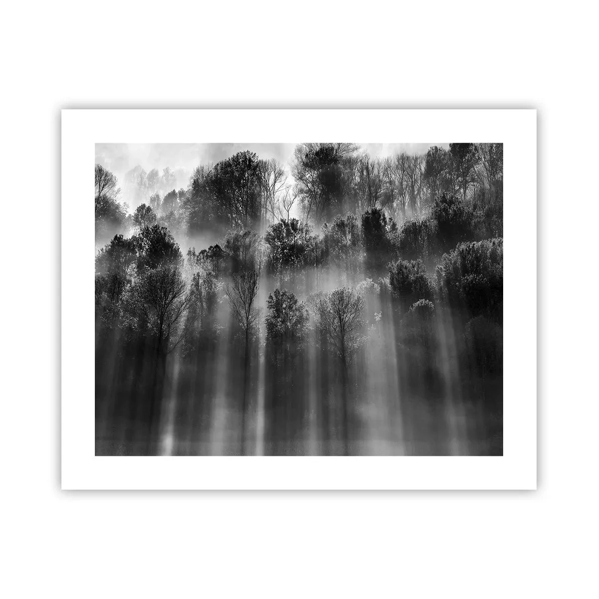 Poster - In the Streams of Light - 50x40 cm