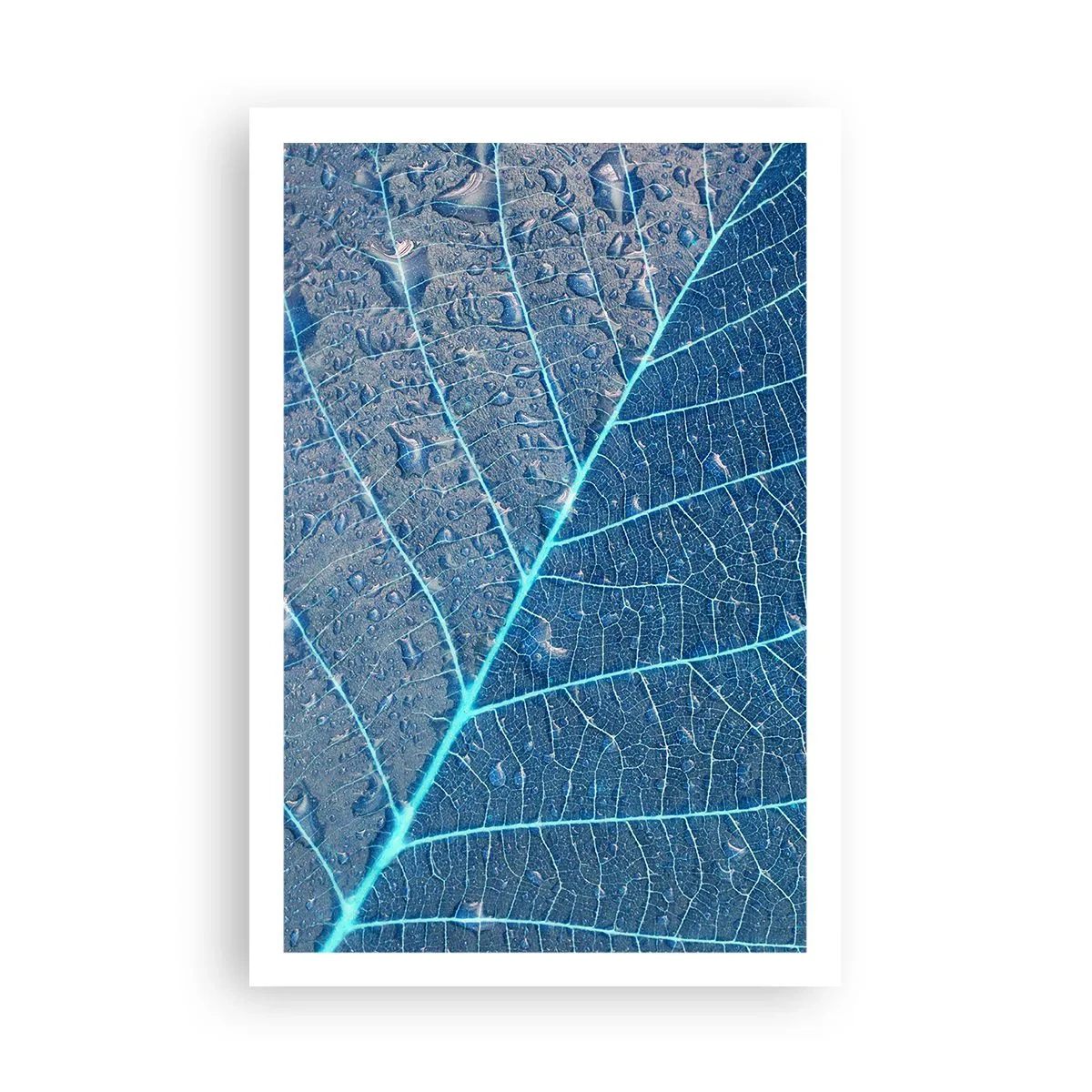 Poster - Life in the Blue - 61x91 cm