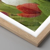 Light Oak