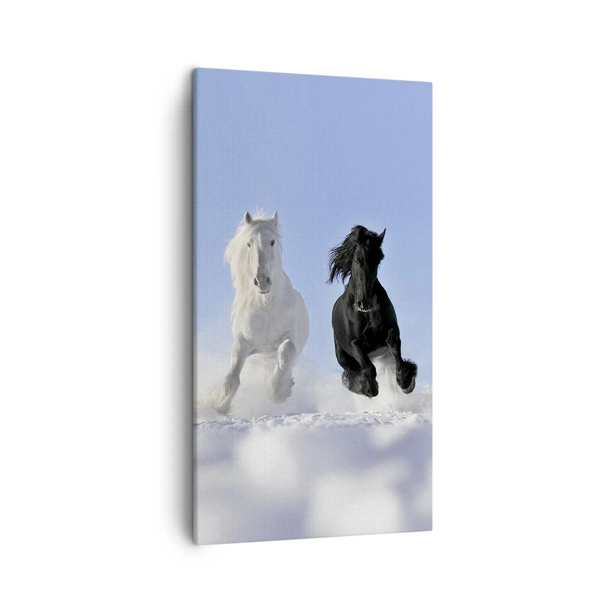 Canvas picture - Black and White Gallop - 45x80 cm