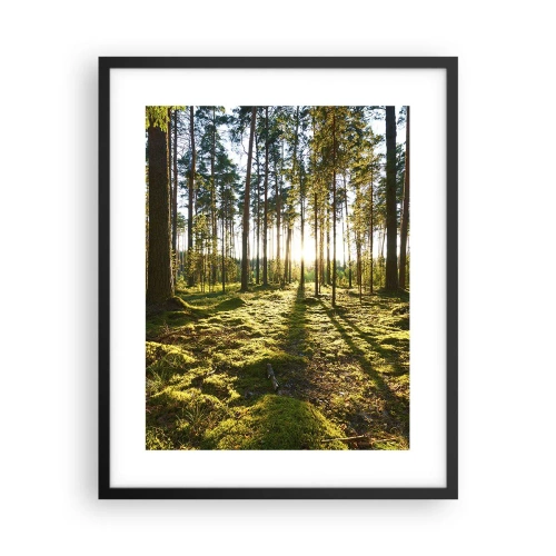 Poster in black frame - Deep in the Forest - 40x50 cm