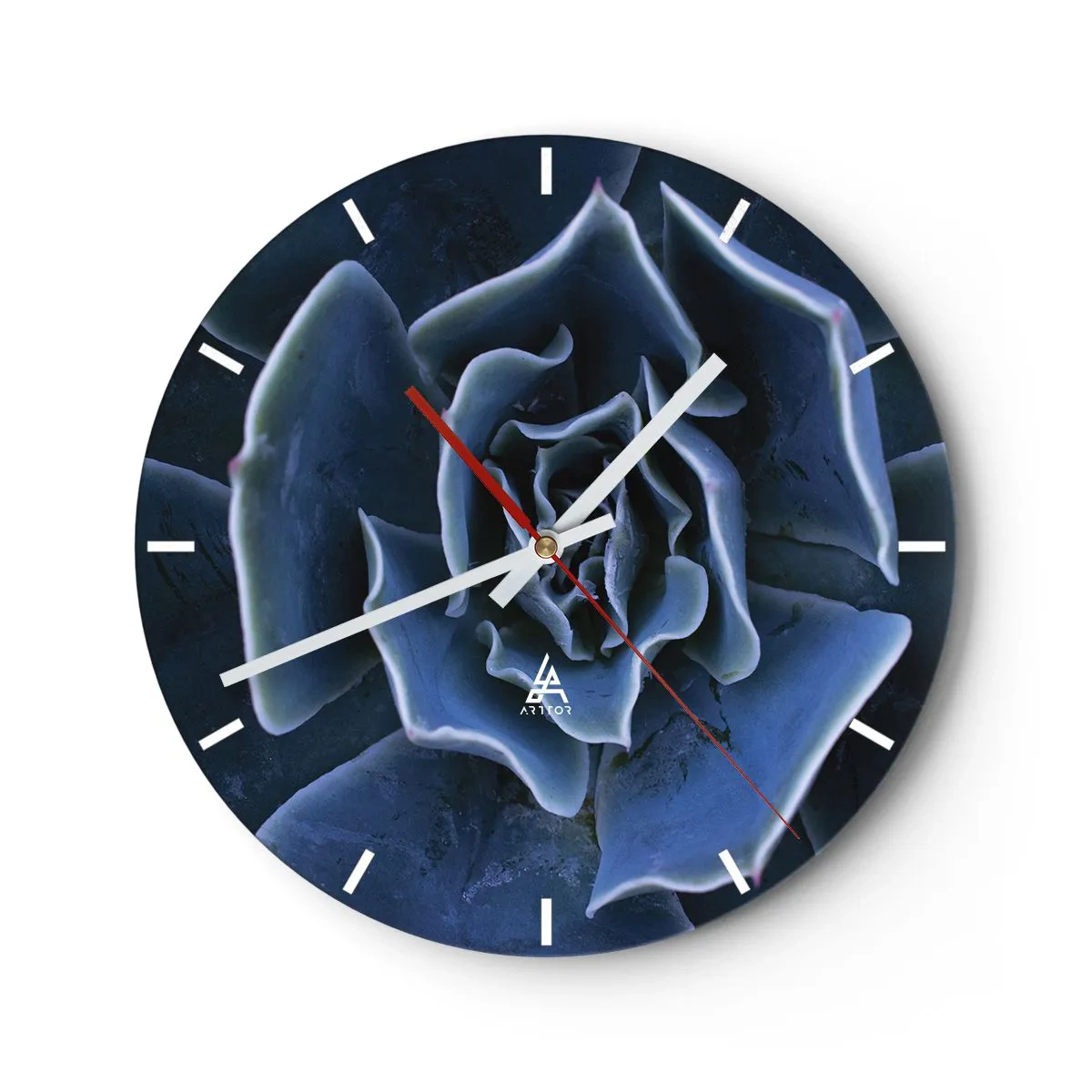 Wall clock - Clock on glass - Close-up of a succulent with navy blue leaves - 30x30cm - Flower of the Desert - Modern wall decoration for the living room, kitchen, and bedroom ARTTOR