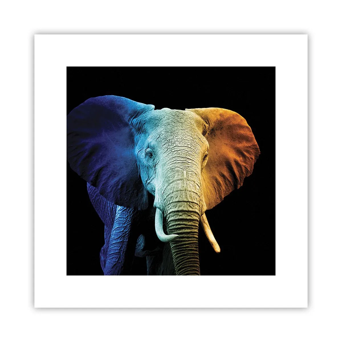 Poster - Eccentric, Not a Weirdo - 30x30 cm