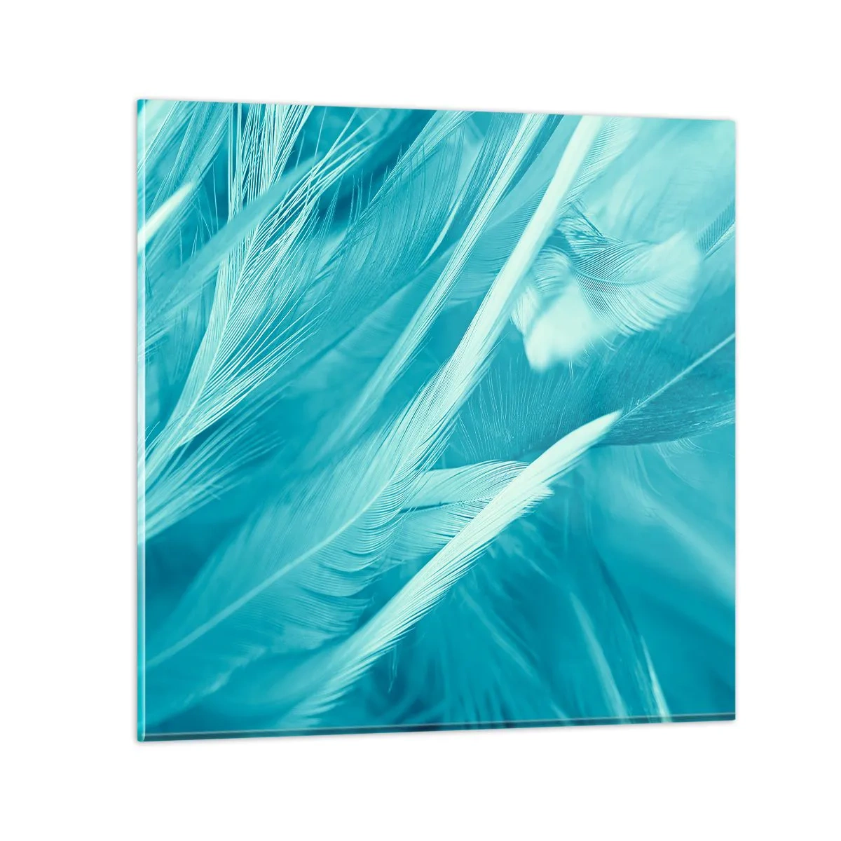Glass picture - Drowning in Feathers - 60x60 cm