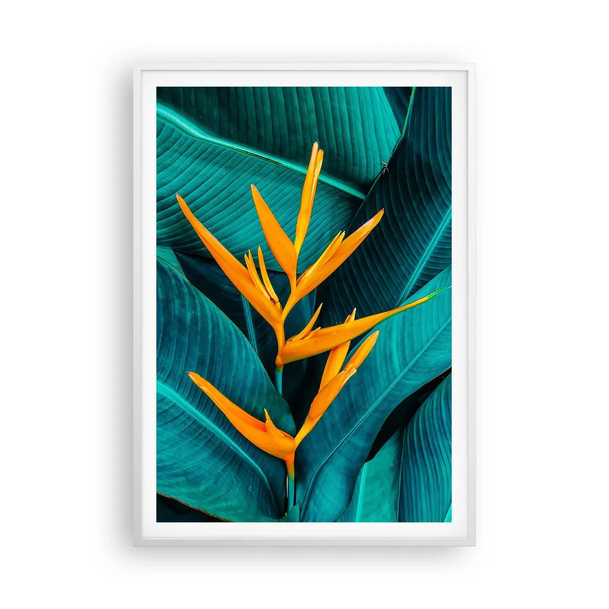 Poster in white frmae - Flower of Eden - 70x100 cm