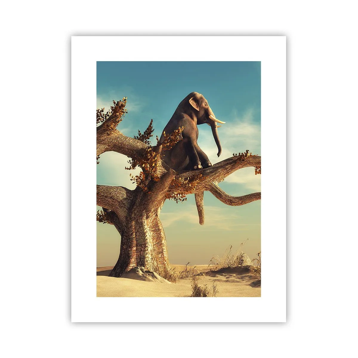 Poster - New Point of View - 30x40 cm