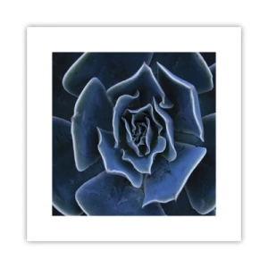 Poster - Flower of the Desert - 30x30 cm