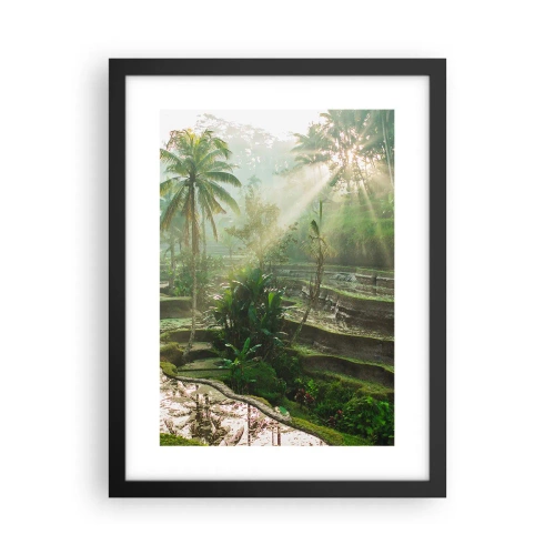 Poster in black frame - Maturing in the Sun - 30x40 cm