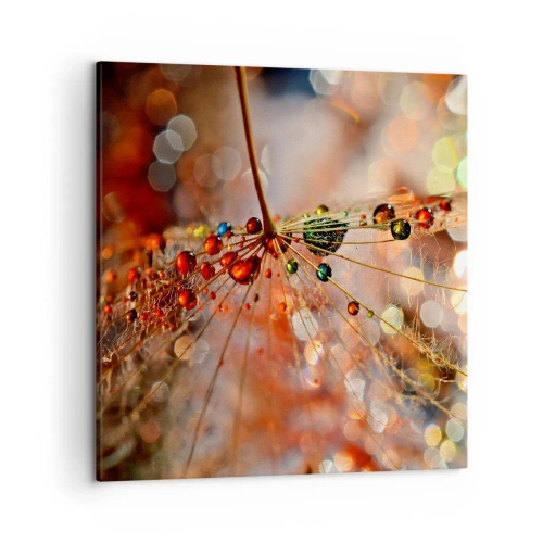 Canvas picture - Strung on a Spider's Web - 50x50 cm