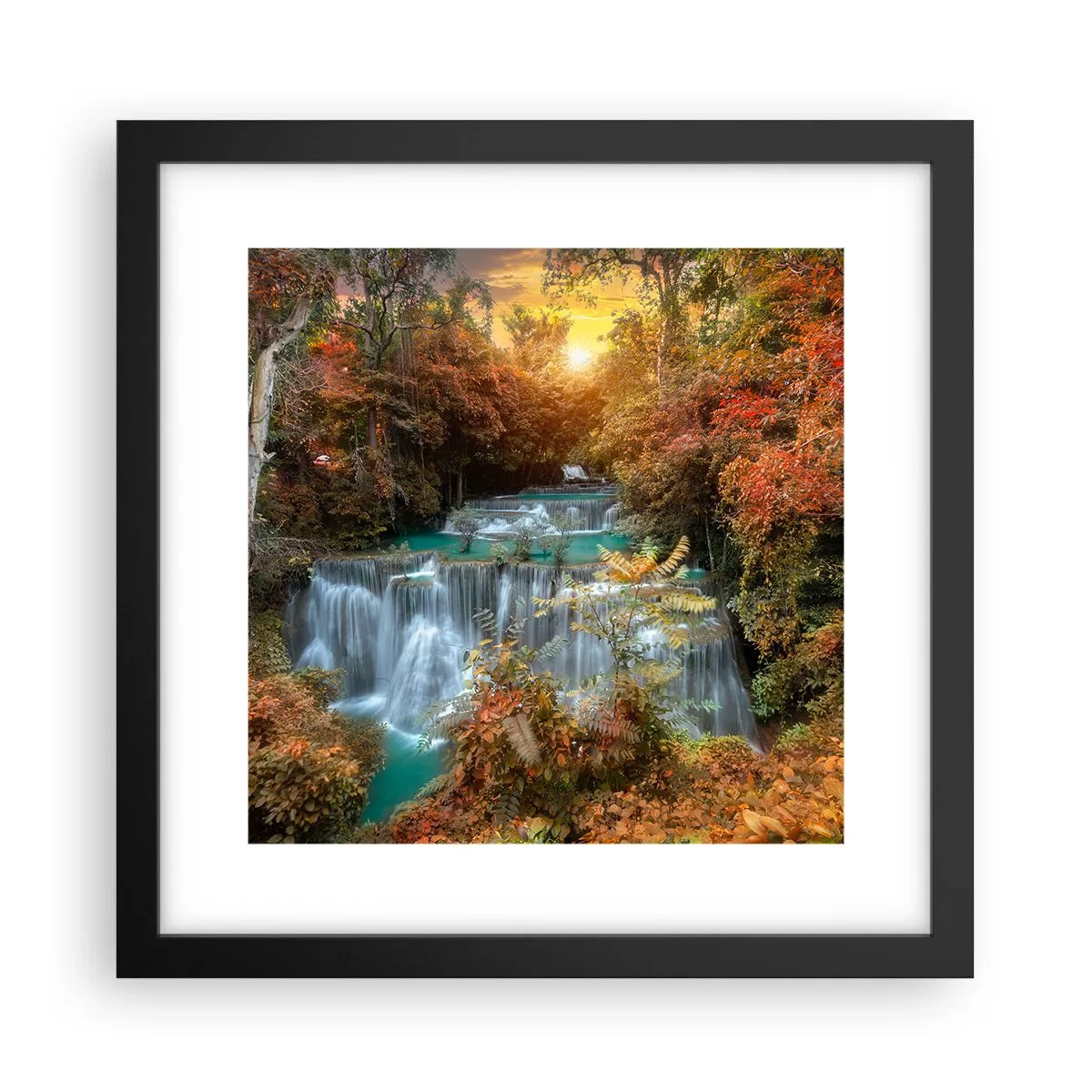 Poster in black frame - Hidden Forest Treasure - 30x30 cm