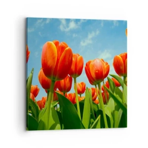 Canvas picture - Blue Sky Is All They Need - 70x70 cm