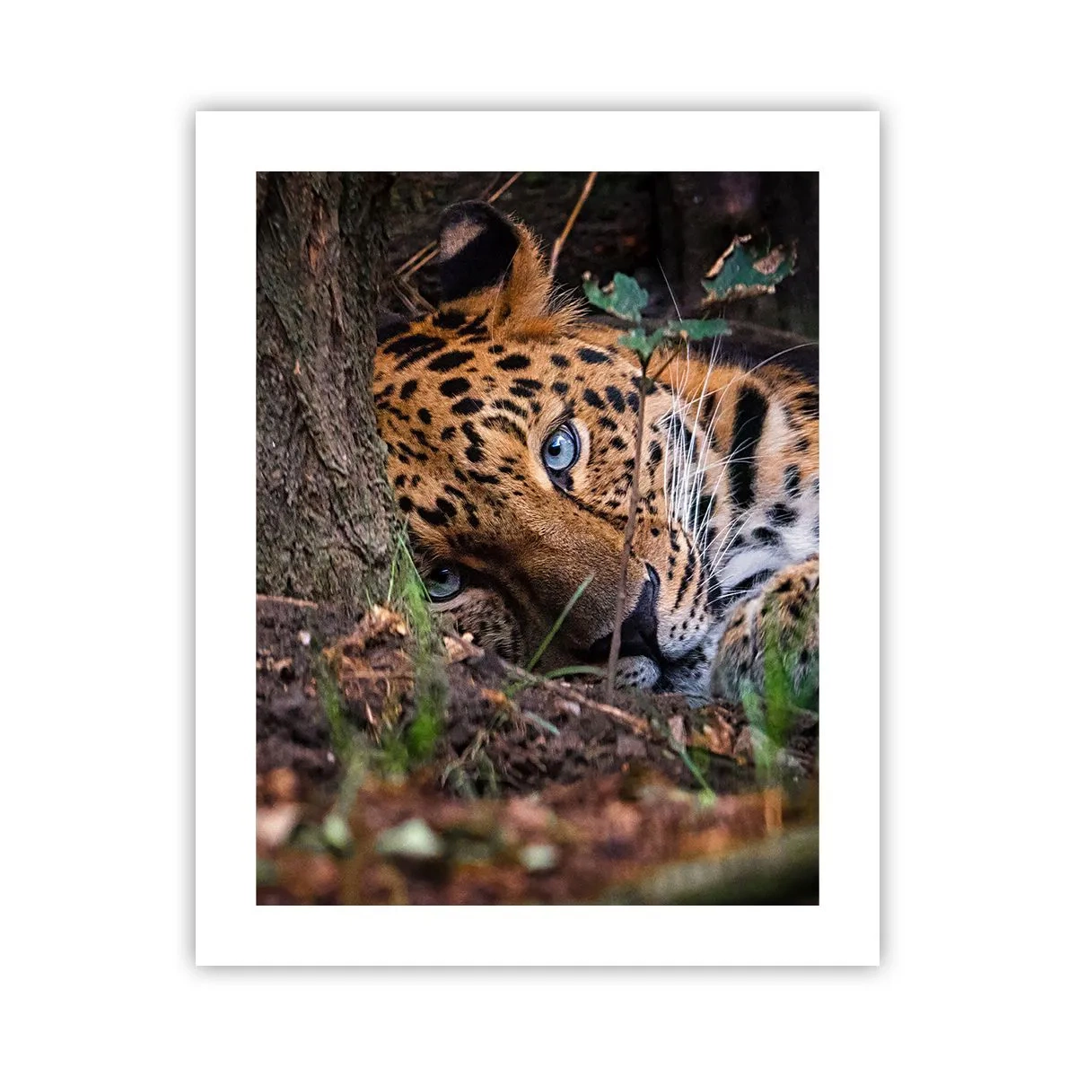 Poster - Trust Me - 40x50 cm