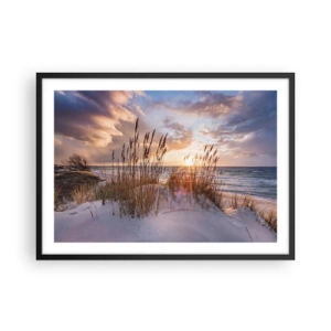 Poster in black frame - Farewell to the Sun and Wind - 70x50 cm
