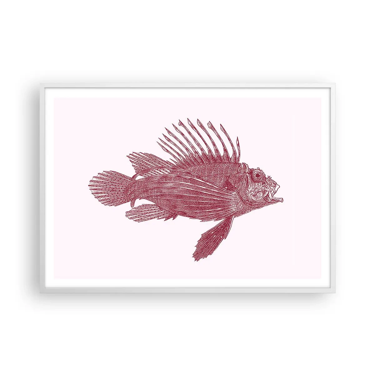 Poster in white frmae - Dweller of Exotic Waters - 100x70 cm