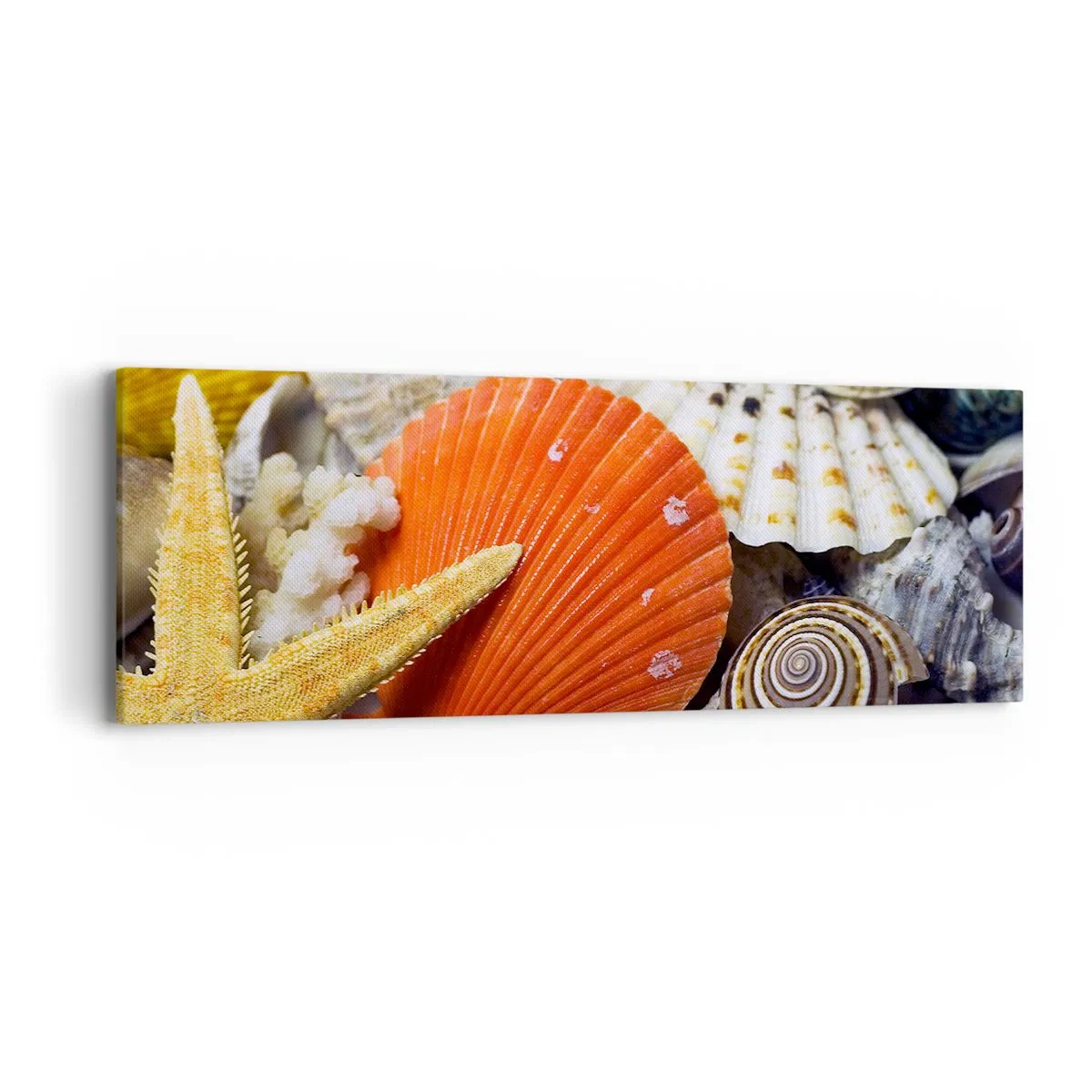 Canvas picture - Treasures of the Ocean - 90x30 cm