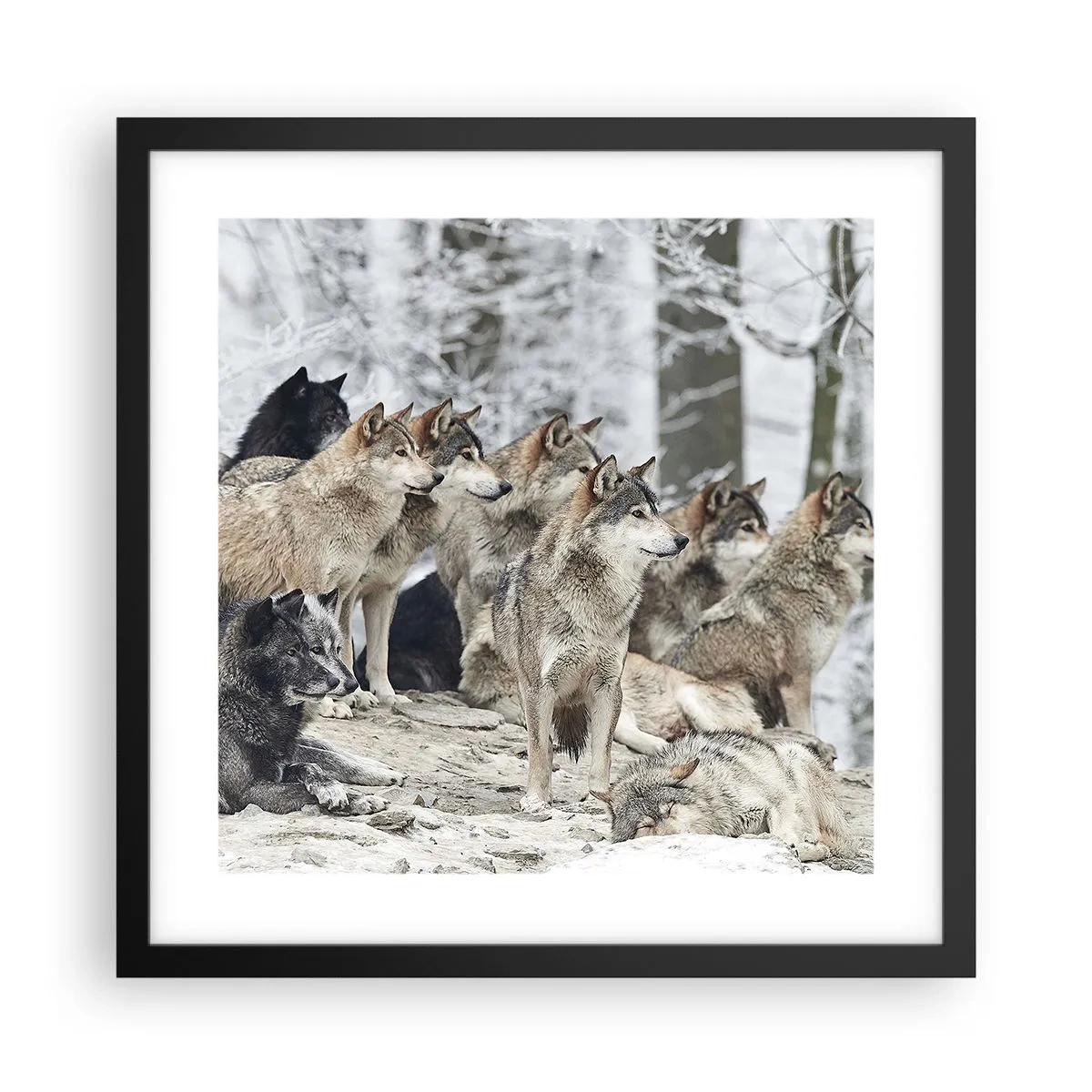 Poster in black frame - Family and Friends - 40x40 cm