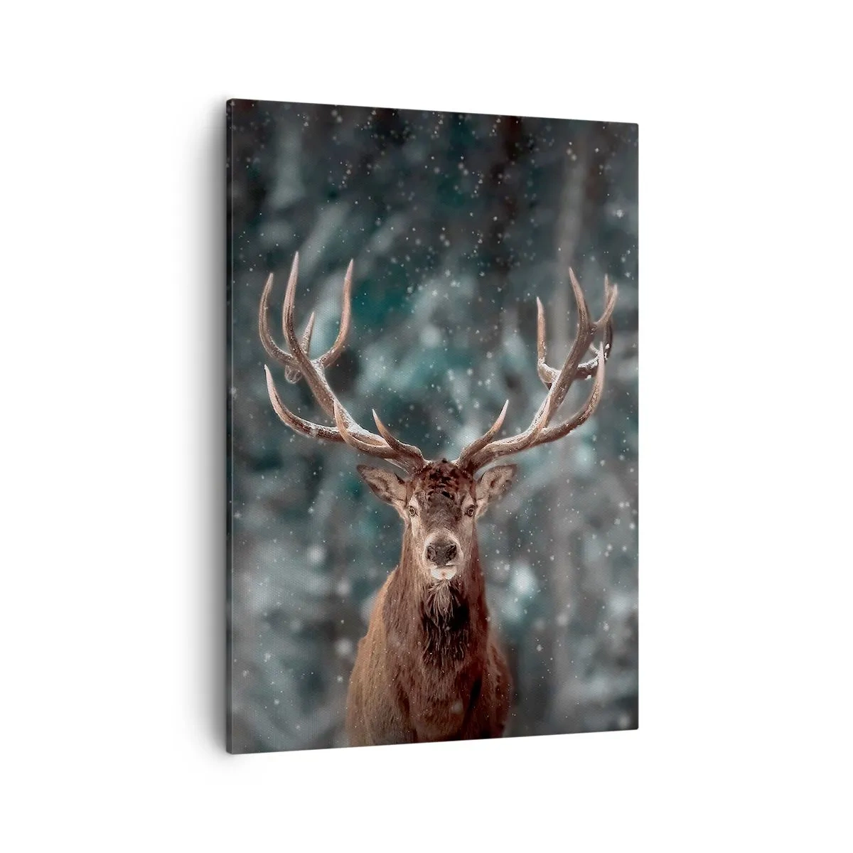 Canvas picture - King of Forest Crowned - 50x70 cm