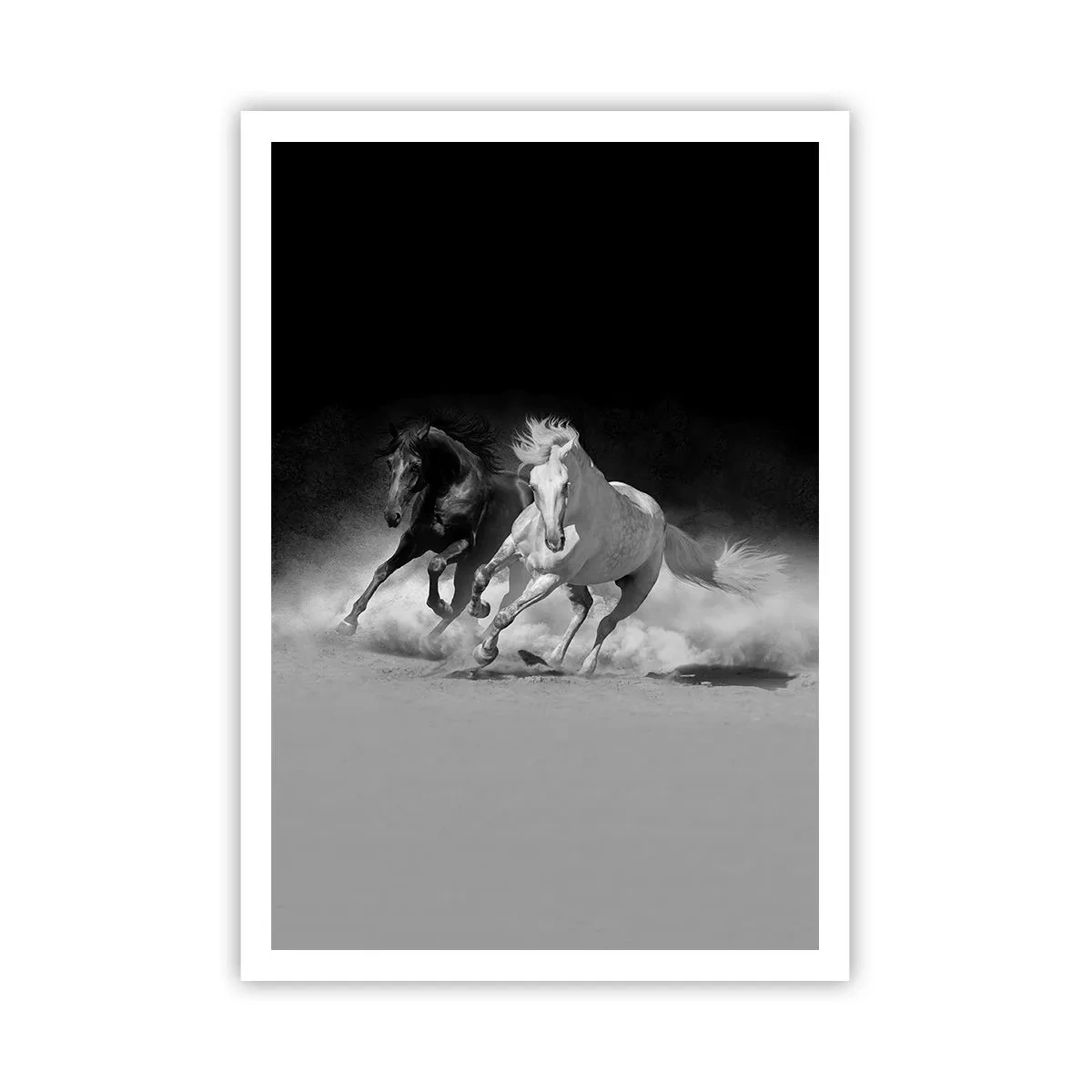 Poster - Gallop of Freedom - 70x100 cm