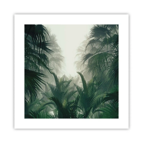 Poster - Tropical Secret - 40x40 cm