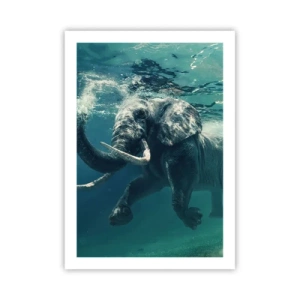 Poster - Everyone Likes to Swim - 50x70 cm