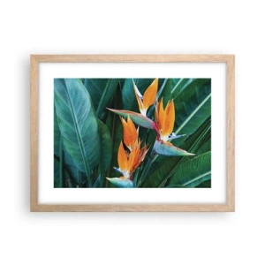 Poster in light oak frame - Is It a Flower or a Bird? - 40x30 cm